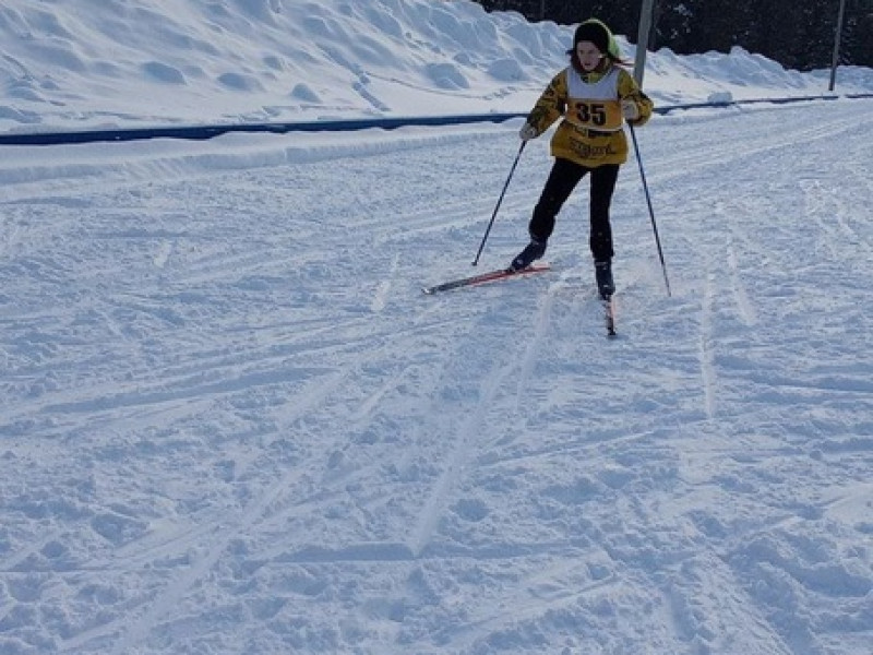Лыжные гонки.